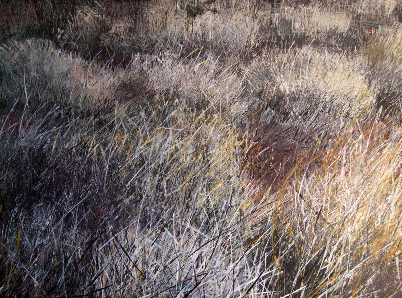 SOLD.Spinifex Maze-1166x213